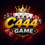C444 Game